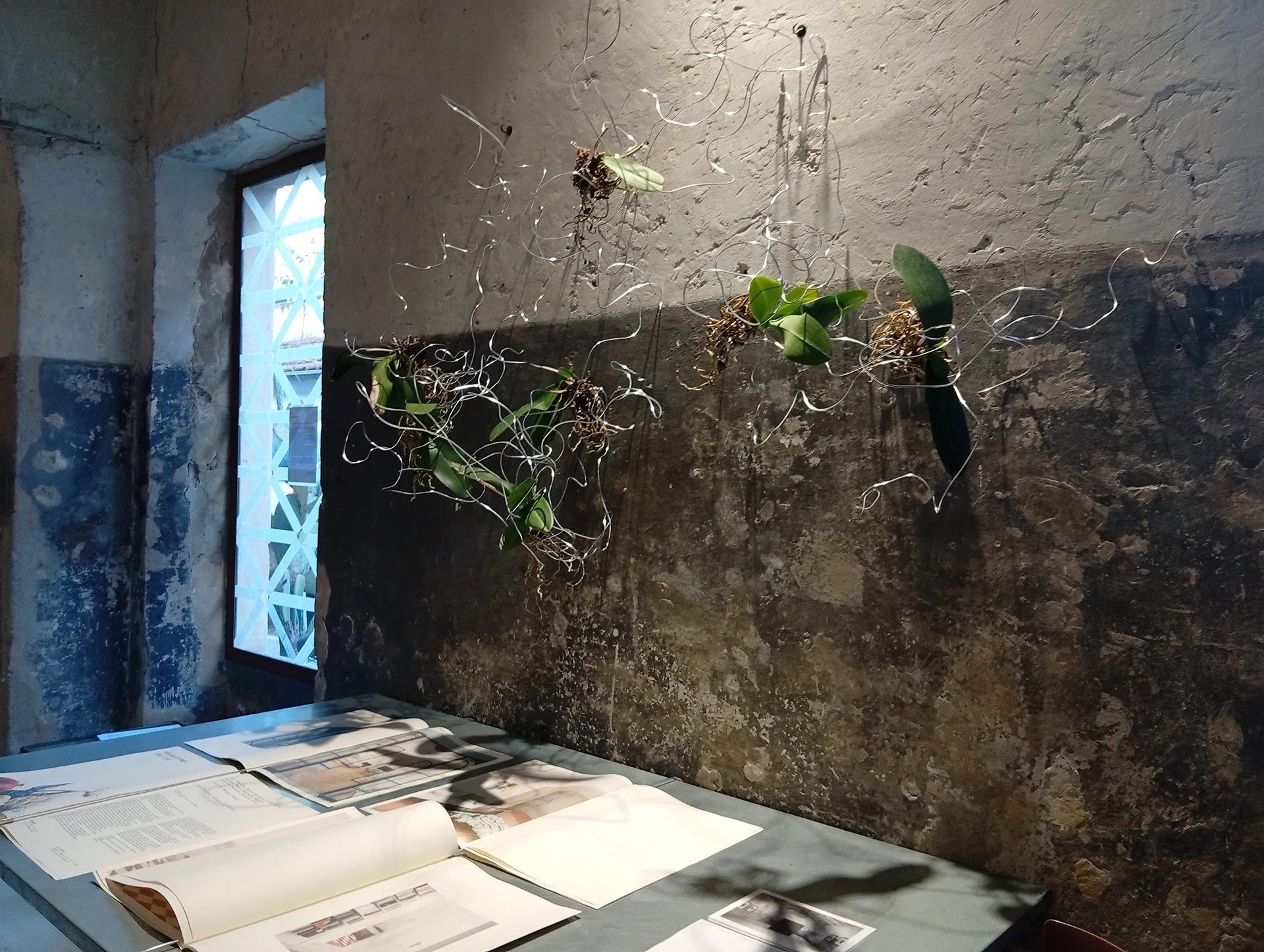 immagine per FLOVVER, site specific -dalla mostra collettiva Per un attimo - Still Life 2026 05 16 Label 201 -ph. Barbara Martusciello