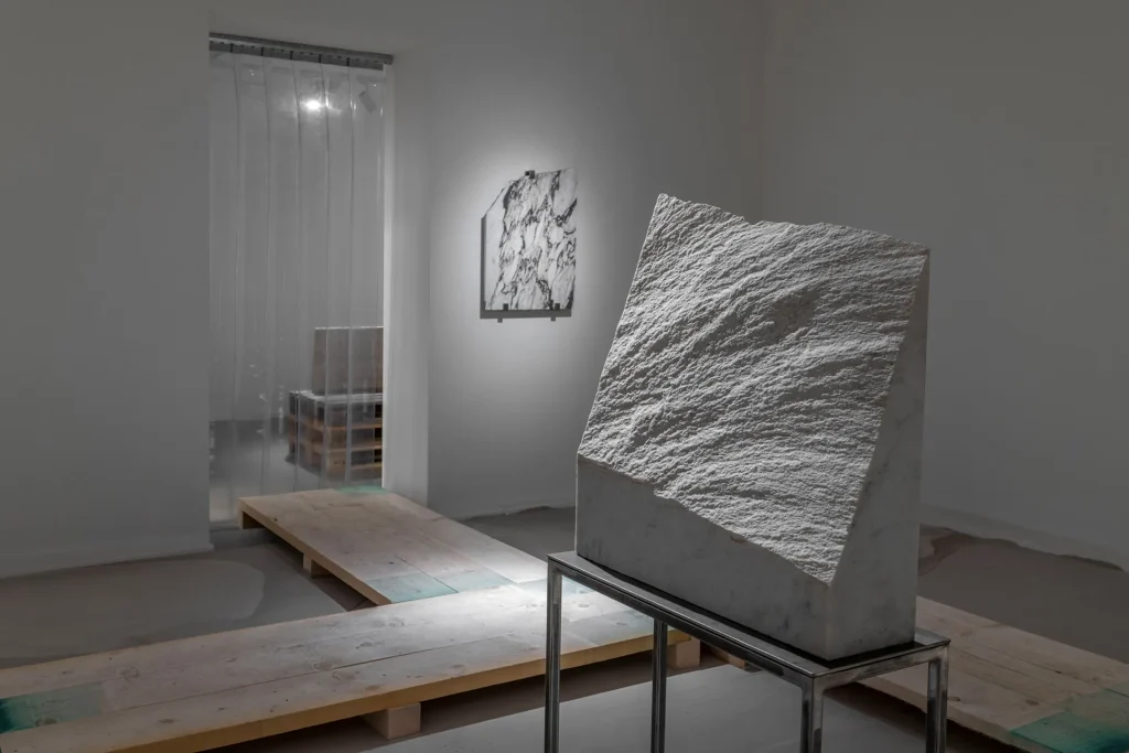 immagine per Petra Feriancova - Hydra’s heads, Gilda Lavia. Installation view. ph. Giorgio Benni