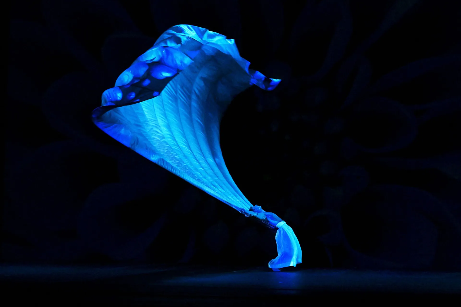 immagine per Momix. Botanica – Season 2
