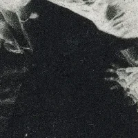 immagine per Orlando, mostra personale di José Witteveen. Galleria 291 Est/Inc