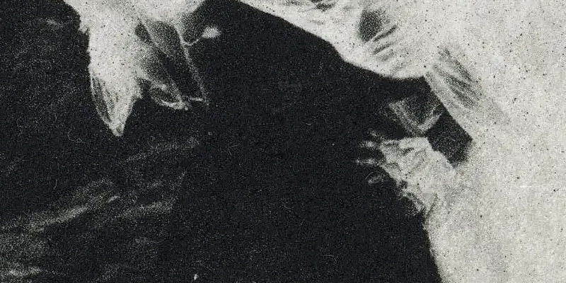 immagine per Orlando, mostra personale di José Witteveen. Galleria 291 Est/Inc