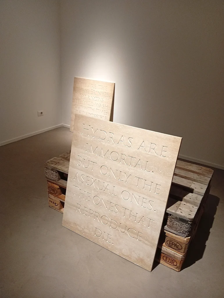 immagine per Petra Feriancova - Hydra’s heads, da Gilda Lavia, Roma, 2026 - ph. Paolo Di Pasquale - artapartofcult(ure)