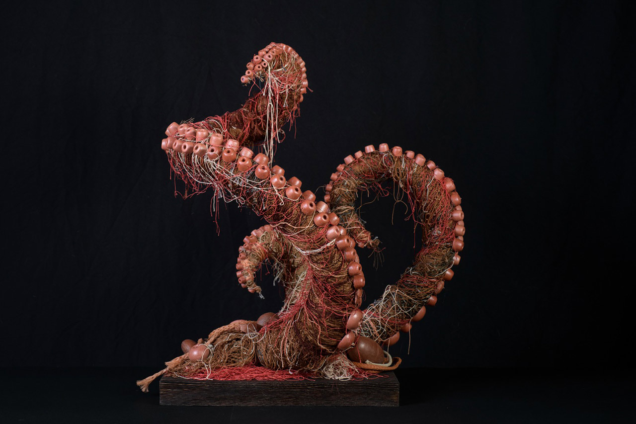 immagine per Raul Orvieto Wild Waste