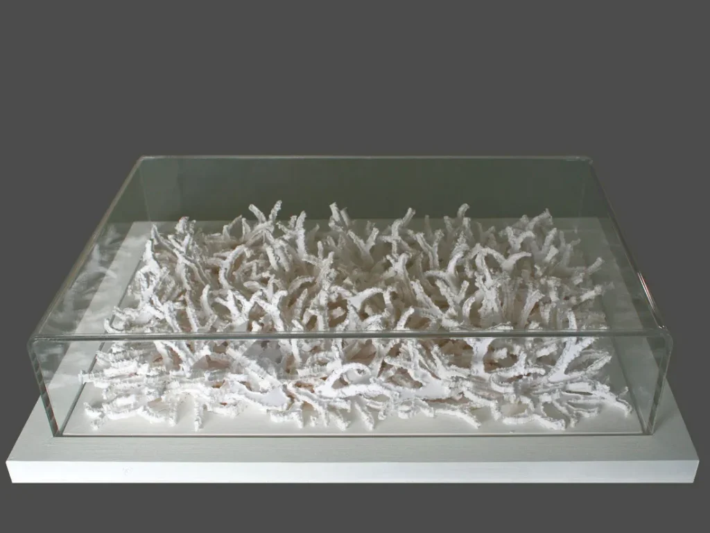 immagine per Specie protetta - 40x56x13 cm. anno 2017 copia