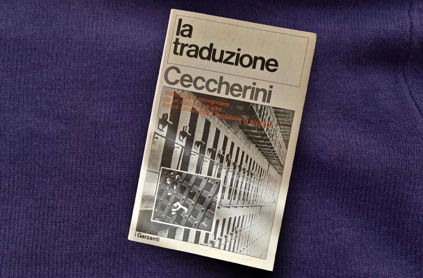 immagine per la copertina del libro La traduzione di Silvano Ceccherini.