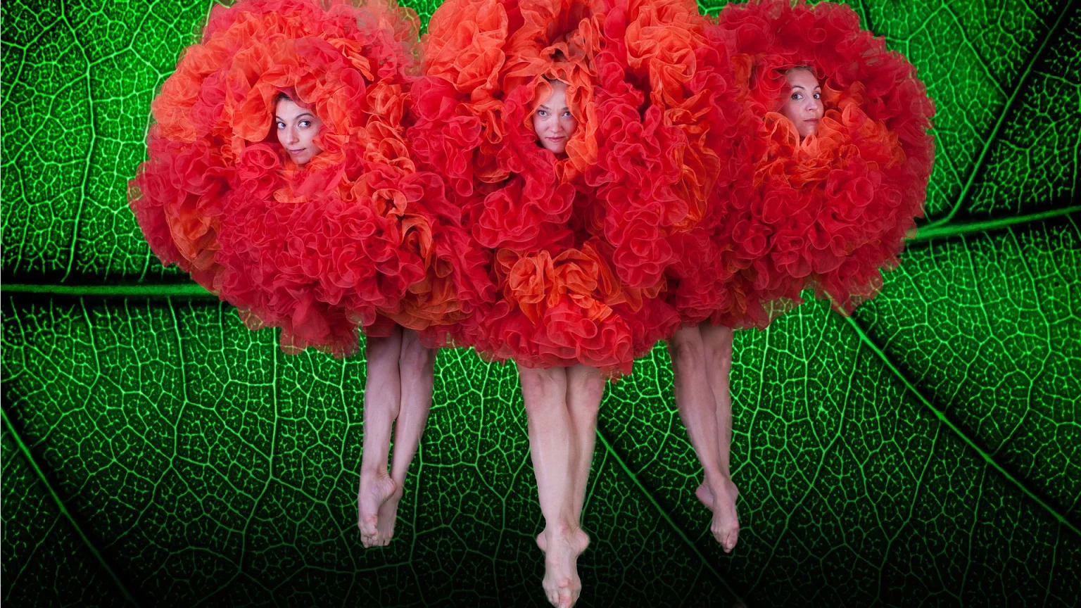 immagine per Botanica – Season 2. I Momix: la natura torna in scena