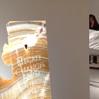immagine per Petra Feriancovà alla Galleria Gilda Lavia con la mostra Hydra’s heads.
