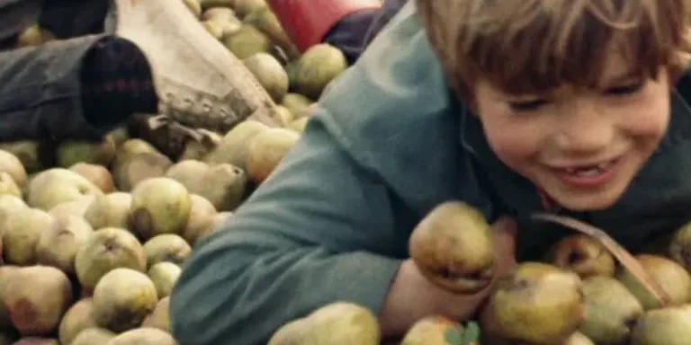 immagine per Madeleine de Sinéty - La charrette de pommes,1974