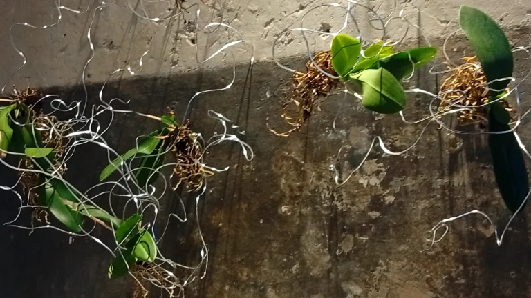 immagine per Per un attimo. Lo Still Life interpretato nell'arte contemporanea