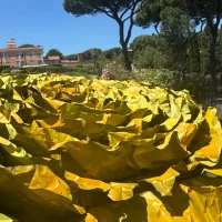 immagine per Francesca Leone. Quel che resta. Natura, tempo, memoria urbana e della materia