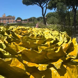 immagine per Francesca Leone. Quel che resta. Natura, tempo, memoria urbana e della materia