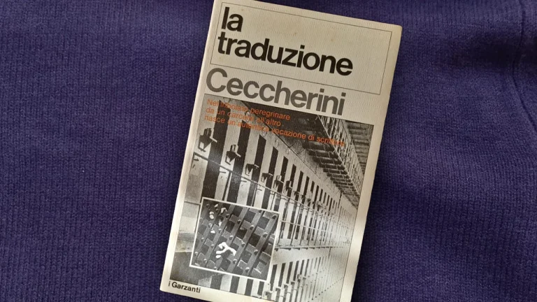 immagine per La traduzione di Silvano Ceccherini. La storia di ognuno non è altro che la storia di tutti