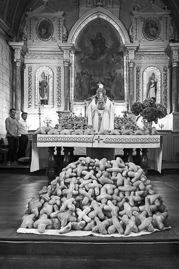 immagine per Stefano Torrione, Rimou