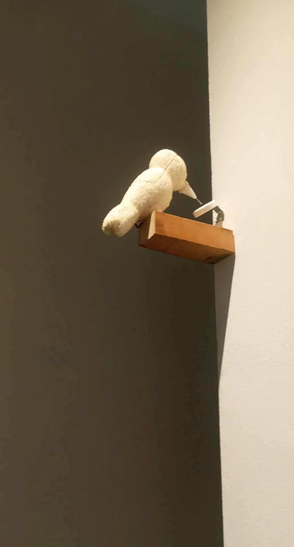 immagine per Takahara. Picchio. 2005 - materiali vari