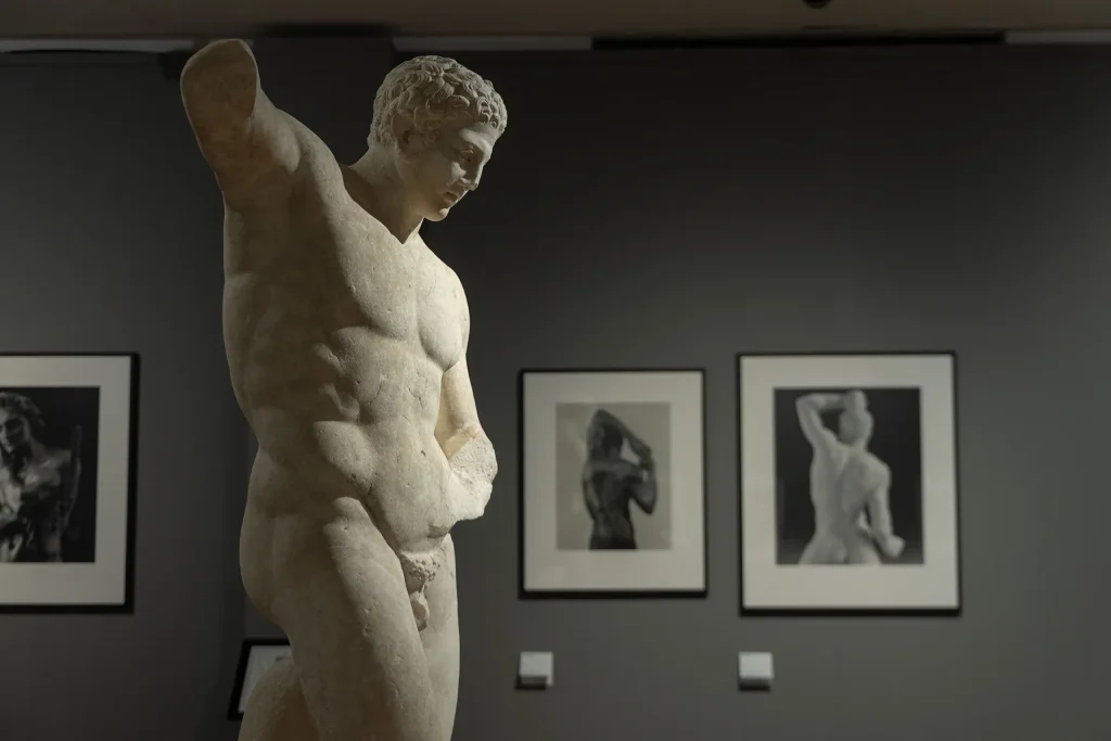 immagine per Ara Pacis, Robert Mapplethorpe. Ph. Wps
