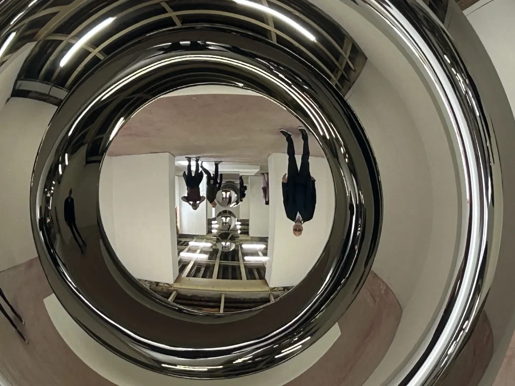 immagine per Anish Kapoor - Biennale Venezia 2026 - 7-8 Maggio by FC