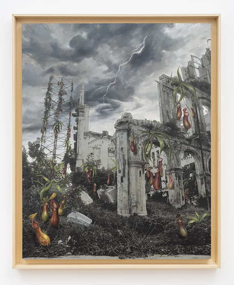 immagine per CARLOS GARAICOA, Nepenthes mirabilis (Planta jarra-Pitcher Plant) 2025 -Galleria CONTINUA, Roma, 2026 - ph. Giorgio Benni