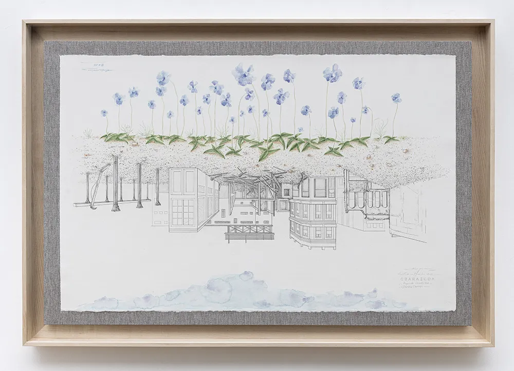 immagine per CARLOS GARAICOA, Pinguicula grandiflora-Drosera Capensis (Manger les pissenlits par la racine) -Galleria CONTINUA, Roma, 2026 - ph. Giorgio Benni