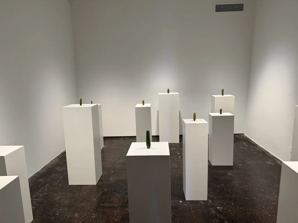 immagine per Erwin Wurm, Dreamers. Museo Fortuny di Venezia