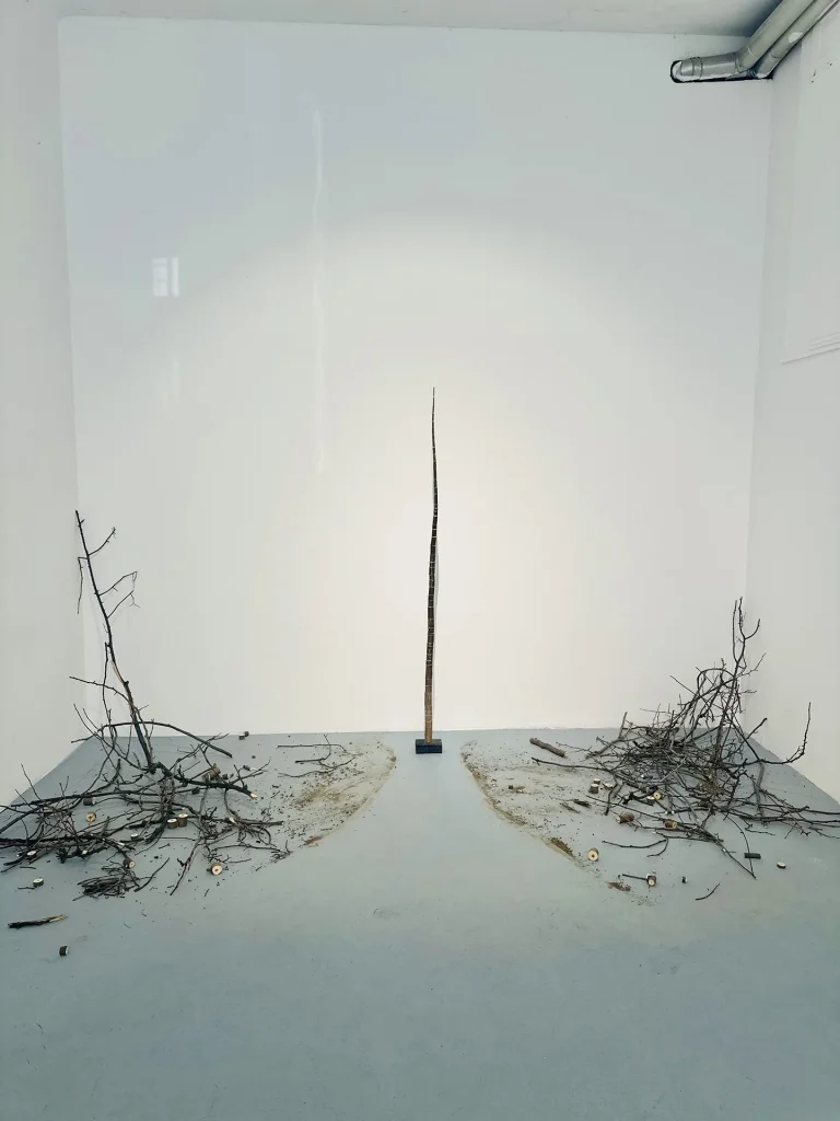 immagine per La cintura di Belgrado: opera di Konstantinos Patelis Milicevic
