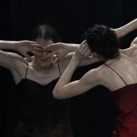 immagine per Last Movement of Hope e Violetto Bellosguardo