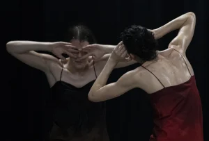 immagine per Last Movement of Hope e Violetto Bellosguardo
