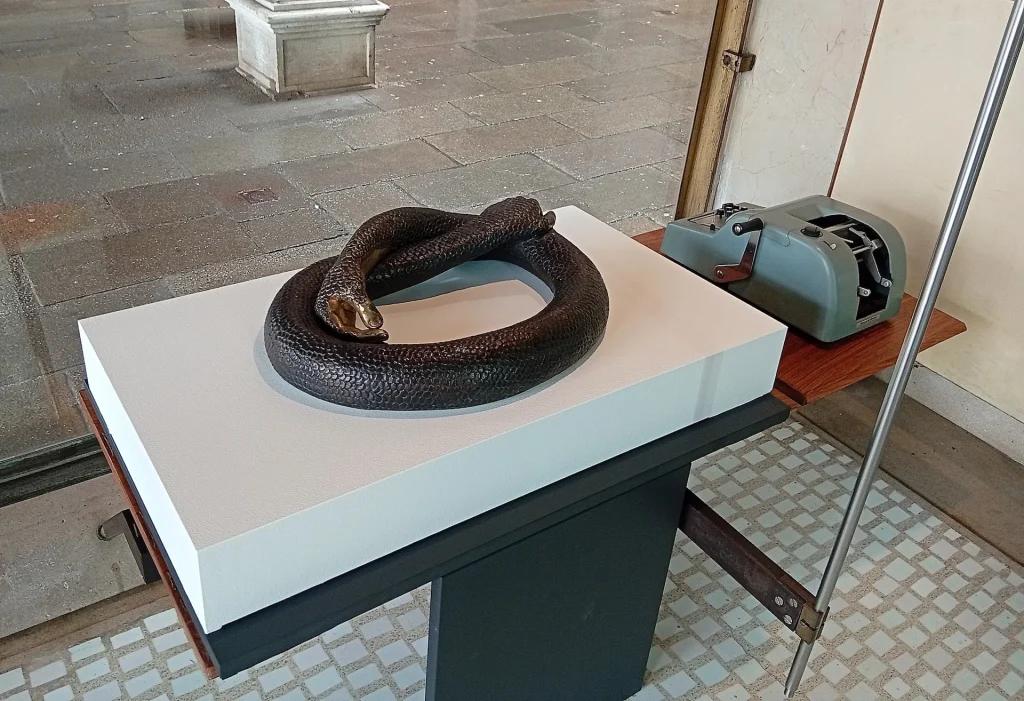 immagine per Leandro Erlich, Serpent, 2021, bronzo -Negozio Olivetti, Venezia-Ass. Arte Continua -ph. Paolo Di Pasquale