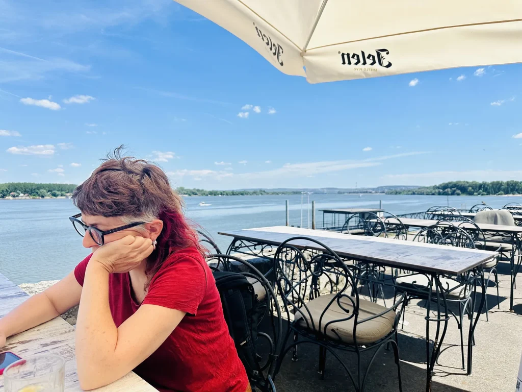 immagine per La cintura di Belgrado: Zemun