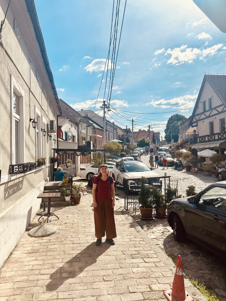 immagine per La cintura di Belgrado: Zemun