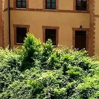 immagine per Vado al Massima
