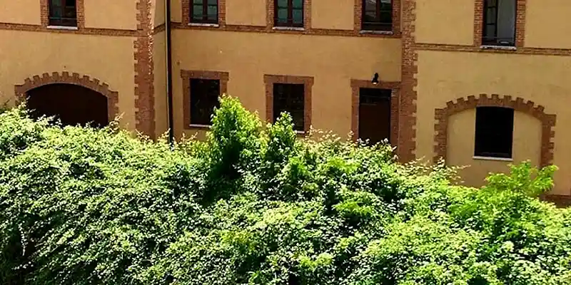 immagine per Vado al Massima