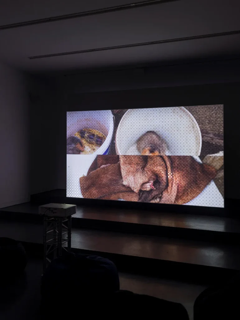 immagine per Exhibition view Mo num en ts by Som Supaparinya, 2026, Museion. Photo: Tiberio Sorvillo