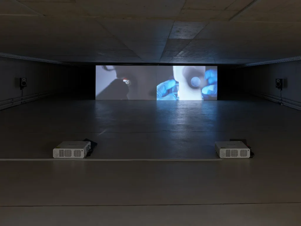 immagine per Enya Burger, installation view For Ever and Forever When I Move, 2026. Courtesy of the artist and KIT