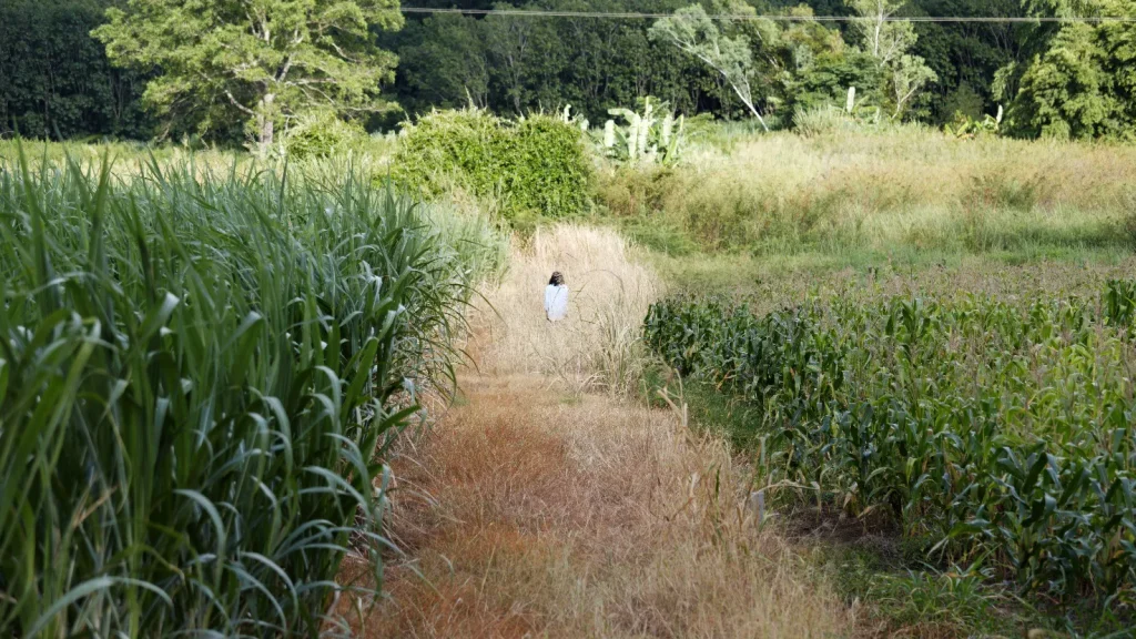 immagine per Som Supaparinya, Mo num en ts, video still. Courtesy of the artist.