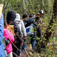 immagine per Tracce di teatro davvero accessibile: quando il bosco diventa palcoscenico