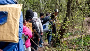 immagine per Tracce di teatro davvero accessibile: quando il bosco diventa palcoscenico
