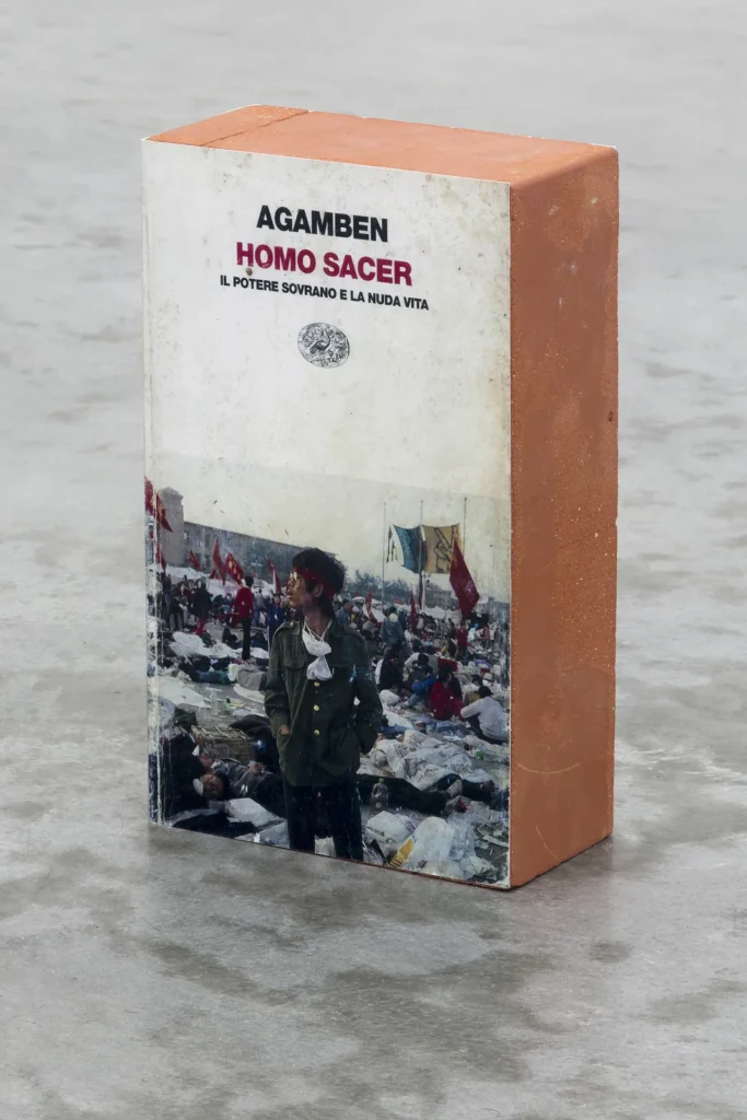 immagine per l'opera Homo Sacer brickbat, 2007 di Claire Fontaine