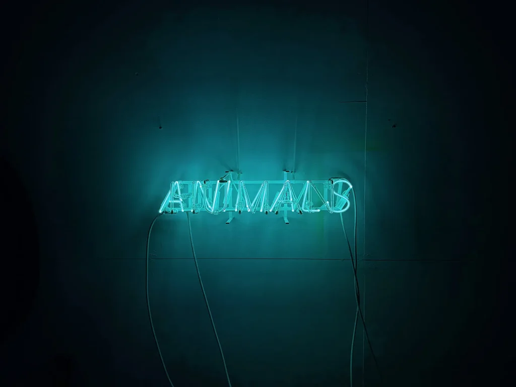 immagine per l'opera Human Animals, 2024 di Claire Fontaine