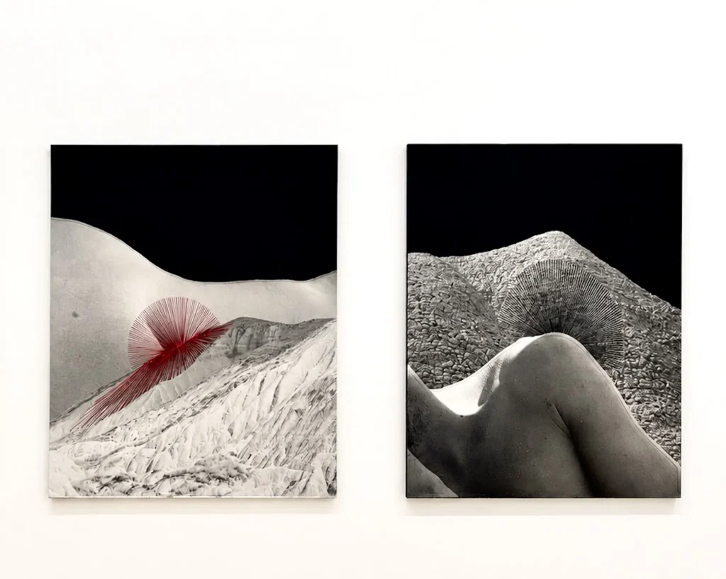 immagine per Exhibition view Punti di Contatto con opera del ciclo Fil Rouge di Betty Salluce ©Francesca Piovesan, Courtesy Cramum, Gaggenau