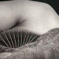 immagine per Fil Rouge. L’orizzonte creativo di Betty Salluce