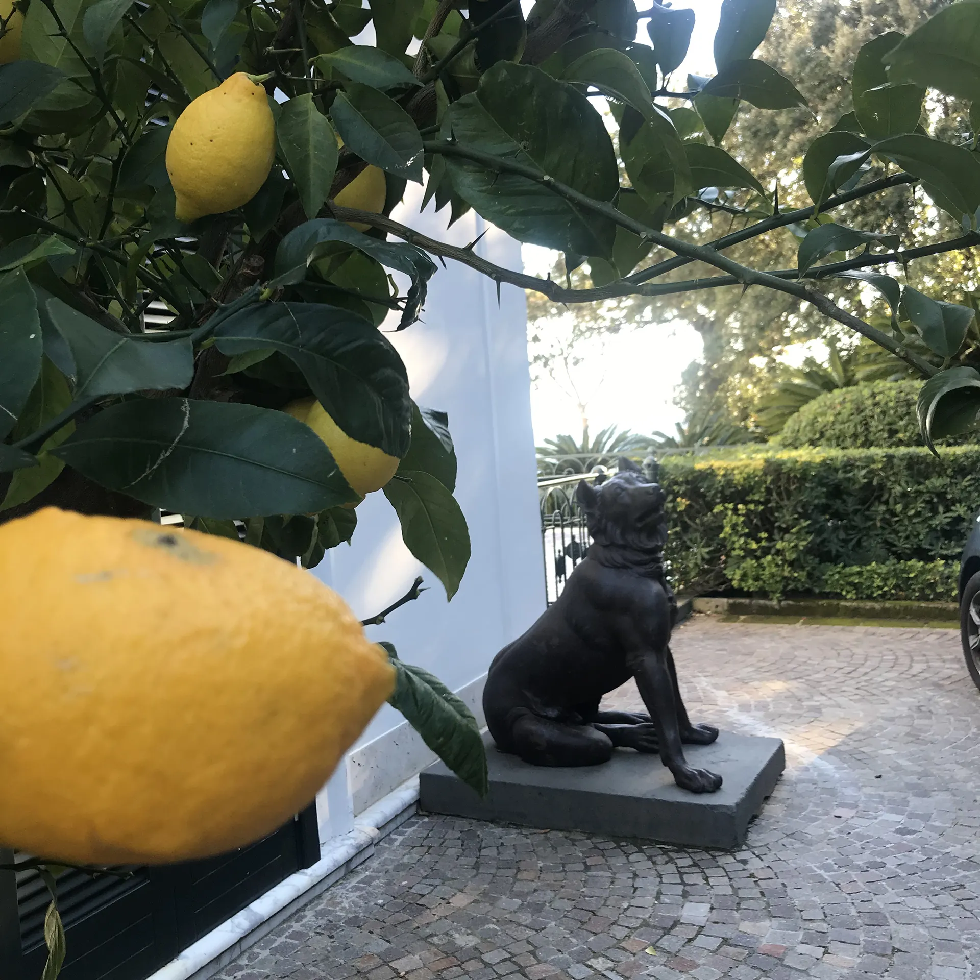 immagine per Villa Rosebery