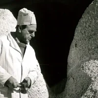 immagine per Astratto Organico