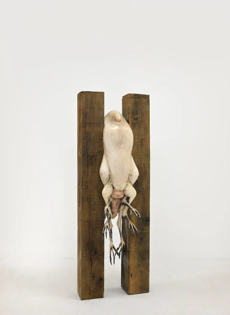 immagine per Hugo Guérin, Qui compose le chant des grillons?, Galerie Suzanne Tarasieve, Parigi. Photo Rebecca Fanuele. Courtesy of the artist and Galerie Suzanne Tarasieve