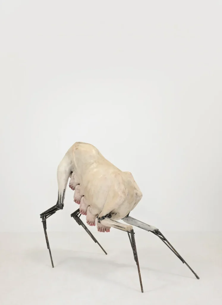 immagine per Hugo Guérin, Qui compose le chant des grillons?, Galerie Suzanne Tarasieve, Parigi. Photo Rebecca Fanuele. Courtesy of the artist and Galerie Suzanne Tarasieve