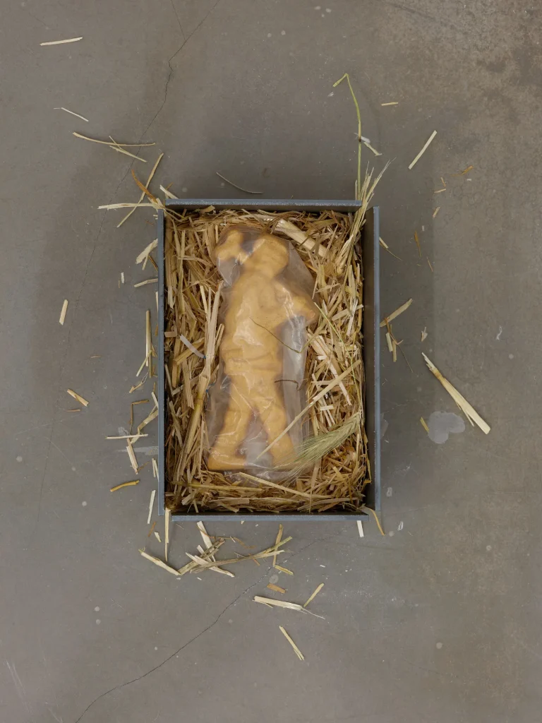 immagine per S.A Mayer, Rootkit exhibition view, 2026, Benta Space, Istanbul - Ph. Barış Özçetin