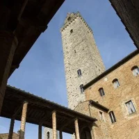 immagine per Nella Pinacoteca di San Gimignano tornano esposti due tondi di Filippino Lippi
