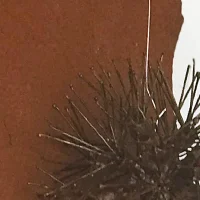 immagine per Theo Gallino, Pneumofonìe