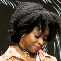 immagine per Chimamanda Ngozi Adichie
