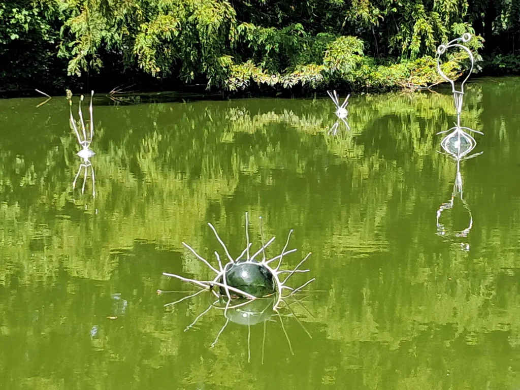 immagine per Serpentine Sibyls di Daniel Rothbart nello stagno, Snug Harbor (ph Manuela De Leonardis)