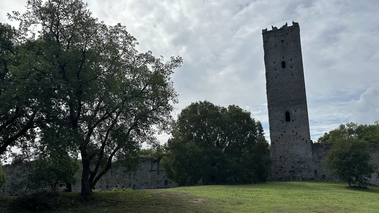 immagine per La Torre di Chia di Pasolini, nella Tuscia una querelle tutta italiana
